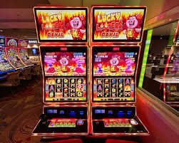 wow 55 bet